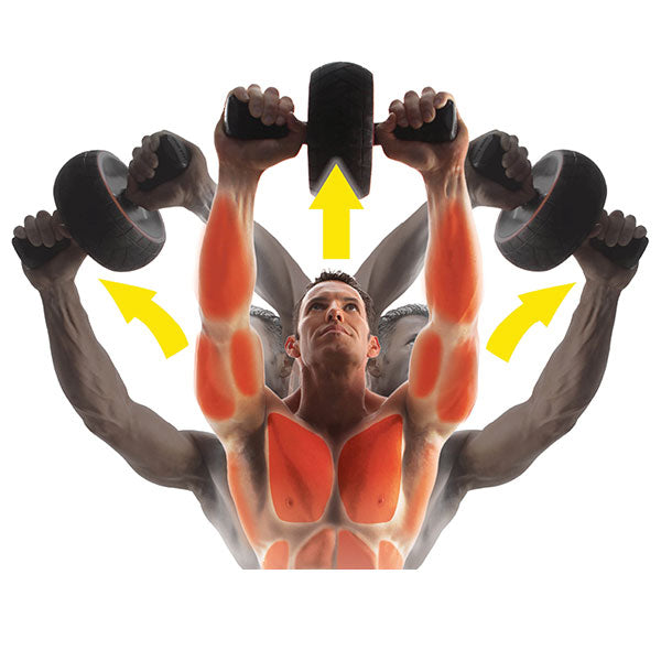 Iron Gym Speed Abs Roller