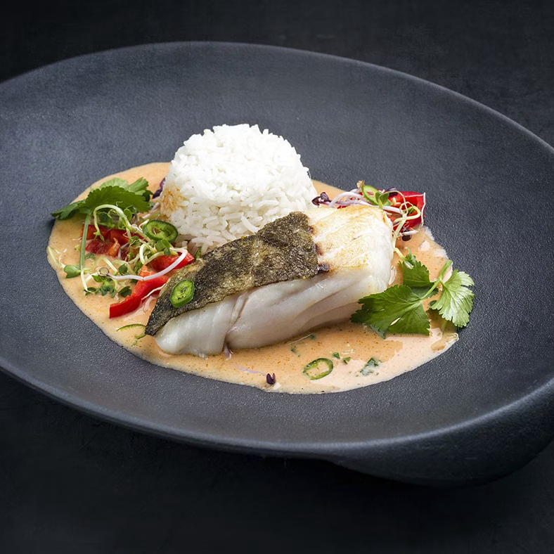 Fischgerichte zubereiten mit der Chef Tony Küchenmaschine