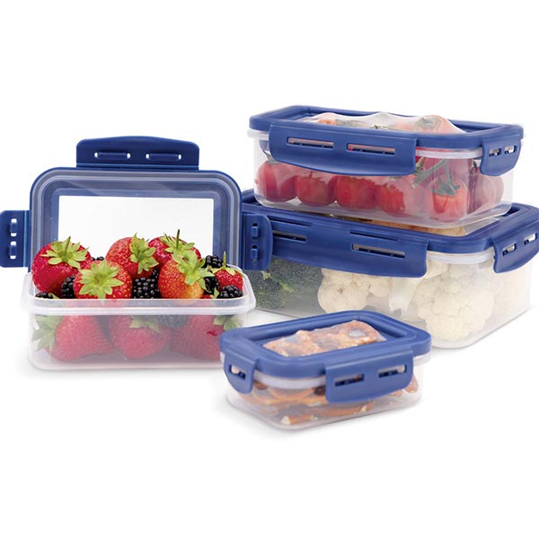 Ensemble de boîtes de conservation Livington Flex & Fresh, 4 pièces