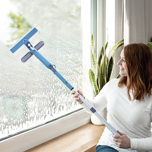 Livington Window Buddy Fensterreinigungssystem